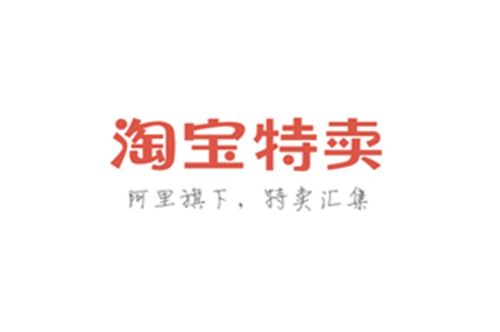 淘宝特卖网与淘站网络 电商生态的革新力量