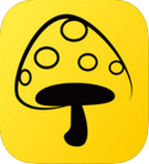 target="_blank" href="/item/掌淘网络科技